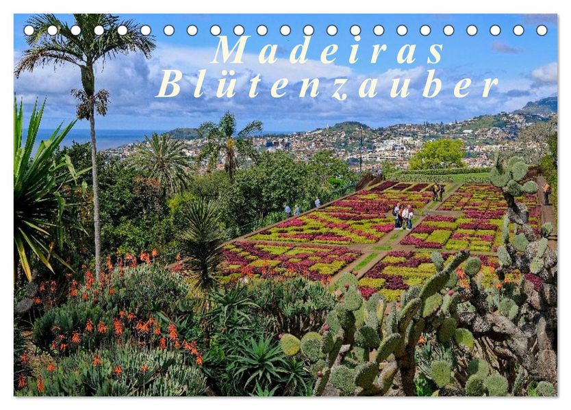 Madeiras Blütenzauber (Tischkalender 2026 DIN A5 quer) CALVENDO Monatskalender