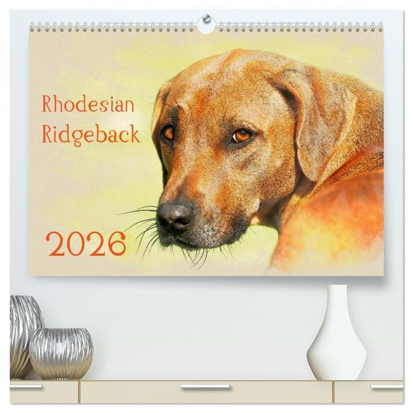 Rhodesian Ridgeback 2026 (hochwertiger Premium Wandkalender 2026 DIN A2 quer) Kunstdruck in Hochglanz