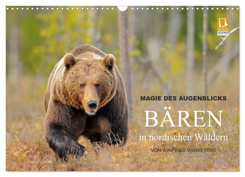 Magie des Augenblicks - Bären in nordischen Wäldern (Wandkalender 2026 DIN A3 quer) CALVENDO Monatskalender
