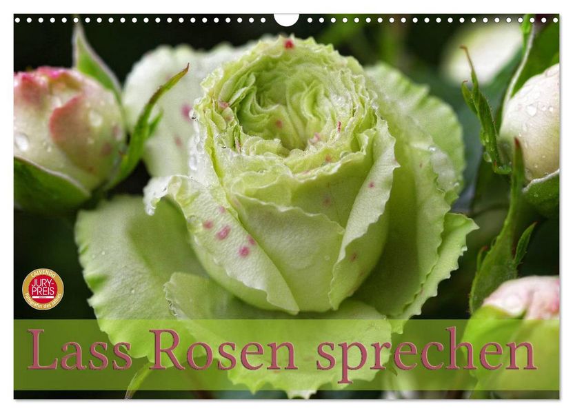 Lass Rosen sprechen (Wandkalender 2026 DIN A3 quer) CALVENDO Monatskalender