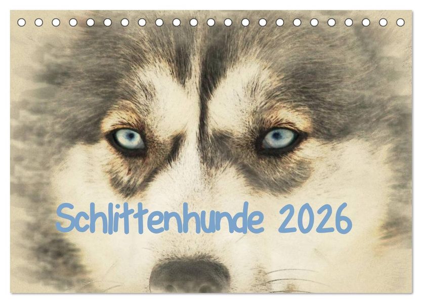 Schlittenhunde 2026 (Tischkalender 2026 DIN A5 quer) CALVENDO Monatskalender