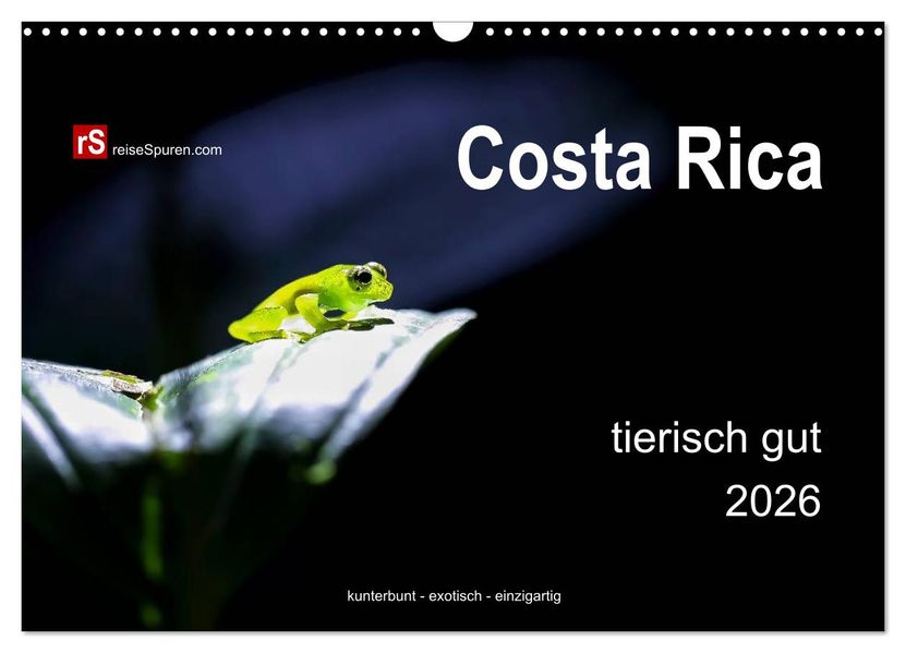 Costa Rica tierisch gut 2026 (Wandkalender 2026 DIN A3 quer) CALVENDO Monatskalender