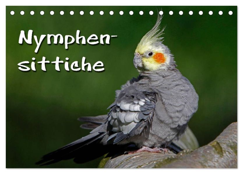 Nymphensittiche (Tischkalender 2026 DIN A5 quer) CALVENDO Monatskalender