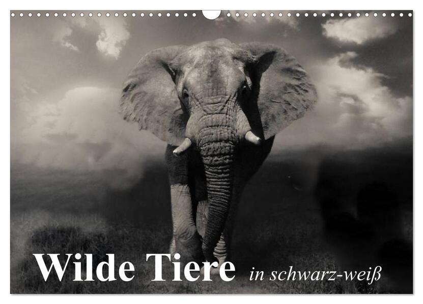 Wilde Tiere in schwarz-weiß (Wandkalender 2026 DIN A3 quer) CALVENDO Monatskalender