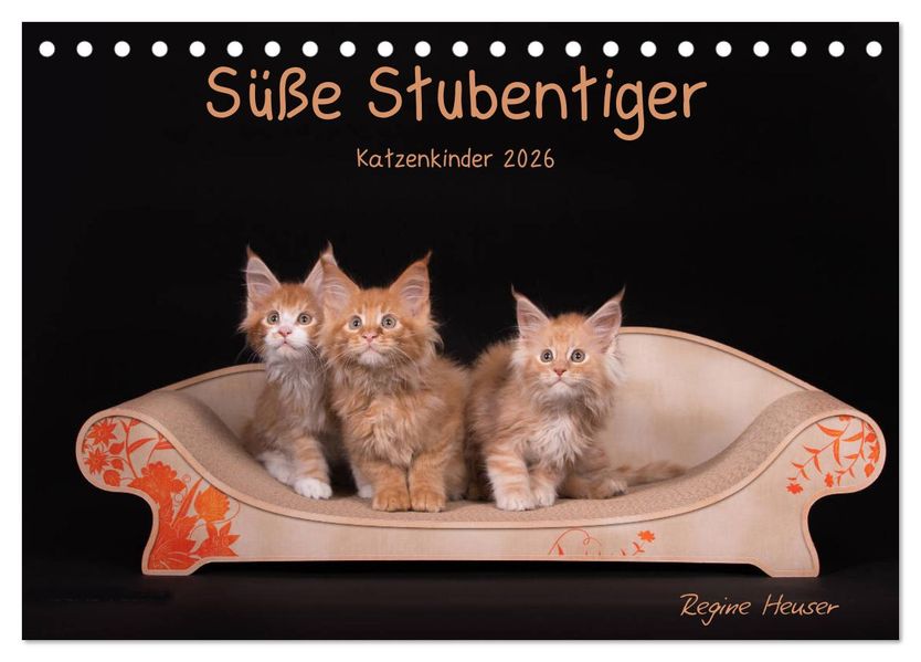 Süße Stubentiger - Katzenkinder (Tischkalender 2026 DIN A5 quer) CALVENDO Monatskalender