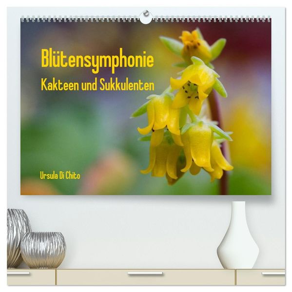 Blütensymphonie - Kakteen und Sukkulenten (hochwertiger Premium Wandkalender 2026 DIN A2 quer) Kunstdruck in Hochglanz