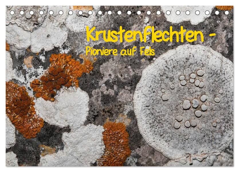 Krustenflechten - Pioniere auf Fels (Tischkalender 2026 DIN A5 quer) CALVENDO Monatskalender