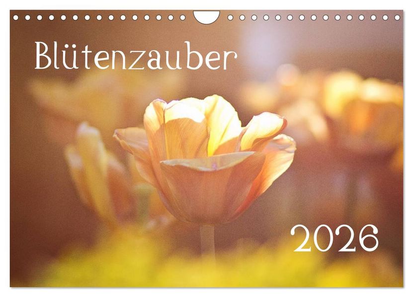 Blütenzauber 2026 (Wandkalender 2026 DIN A4 quer) CALVENDO Monatskalender