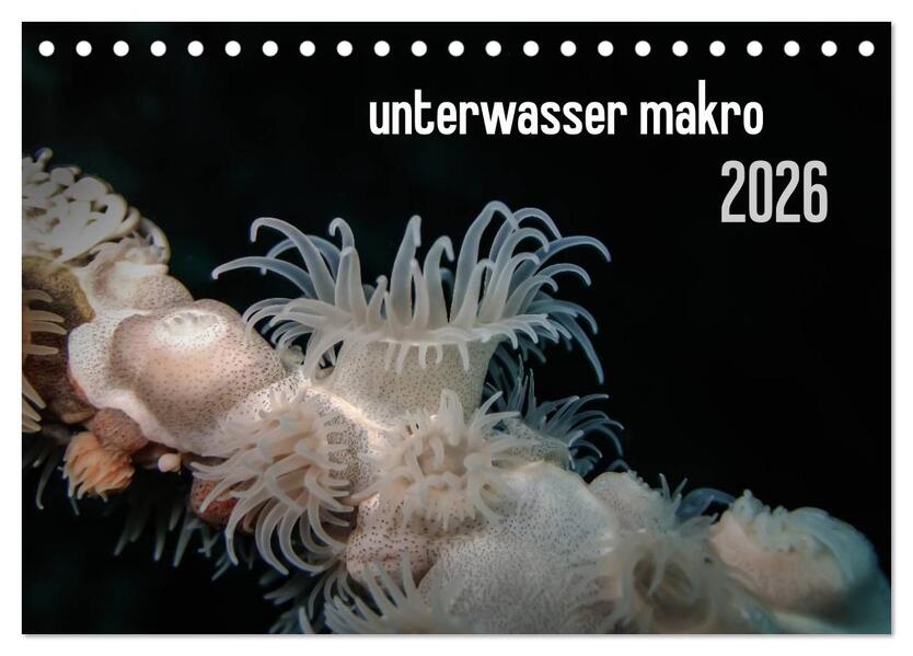 unterwasser makro 2026 (Tischkalender 2026 DIN A5 quer) CALVENDO Monatskalender