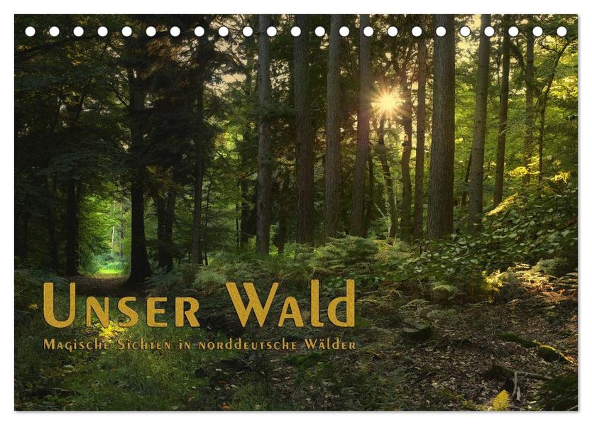 Unser Wald - Magische Sichten in norddeutsche Wälder / Geburtstagskalender (Tischkalender 2026 DIN A5 quer) CALVENDO Monatskalender