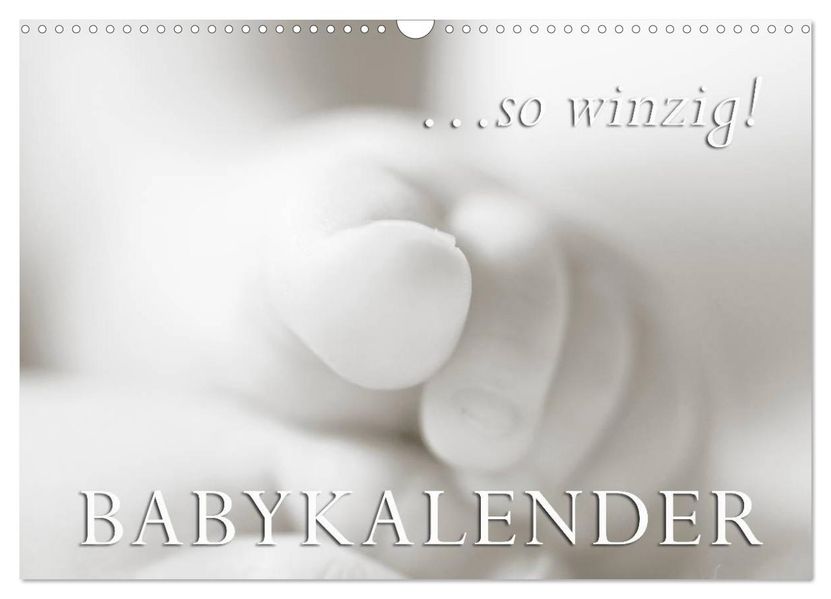...so winzig - Babykalender (Wandkalender 2026 DIN A3 quer) CALVENDO Monatskalender