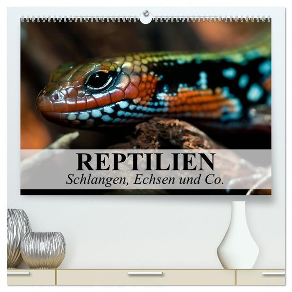 Reptilien Schlangen Echsen und Co. (hochwertiger Premium Wandkalender 2026 DIN A2 quer) Kunstdruck in Hochglanz