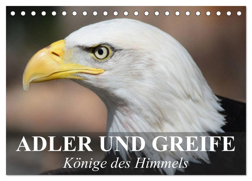 Adler und Greife - Könige des Himmels (Tischkalender 2026 DIN A5 quer) CALVENDO Monatskalender