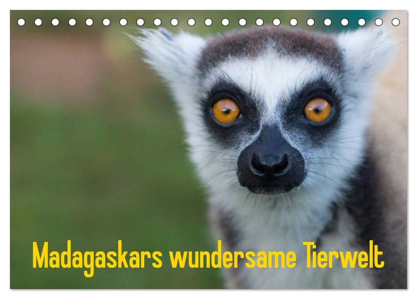 Madagaskars wundersame Tierwelt (Tischkalender 2026 DIN A5 quer) CALVENDO Monatskalender
