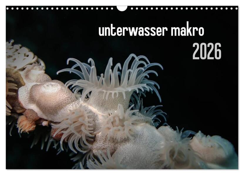 unterwasser makro 2026 (Wandkalender 2026 DIN A3 quer) CALVENDO Monatskalender