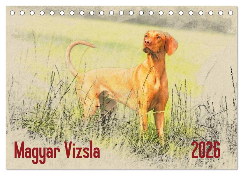 Magyar Vizsla 2026 (Tischkalender 2026 DIN A5 quer) CALVENDO Monatskalender