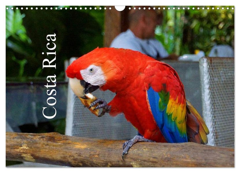 Costa Rica (Wandkalender 2026 DIN A3 quer) CALVENDO Monatskalender