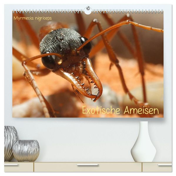 Exotische Ameisen (hochwertiger Premium Wandkalender 2026 DIN A2 quer) Kunstdruck in Hochglanz