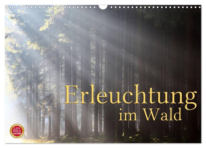 Erleuchtung im Wald (Wandkalender 2026 DIN A3 quer) CALVENDO Monatskalender