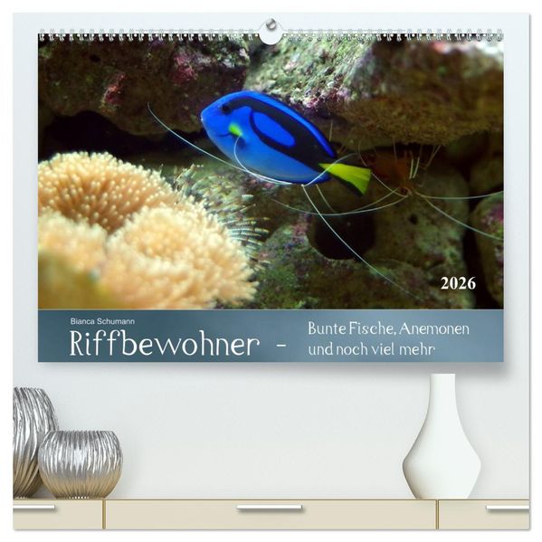Riffbewohner - Bunte Fische Anemonen und noch viel mehr (hochwertiger Premium Wandkalender 2026 DIN A2 quer) Kunstdruck in Hochglanz