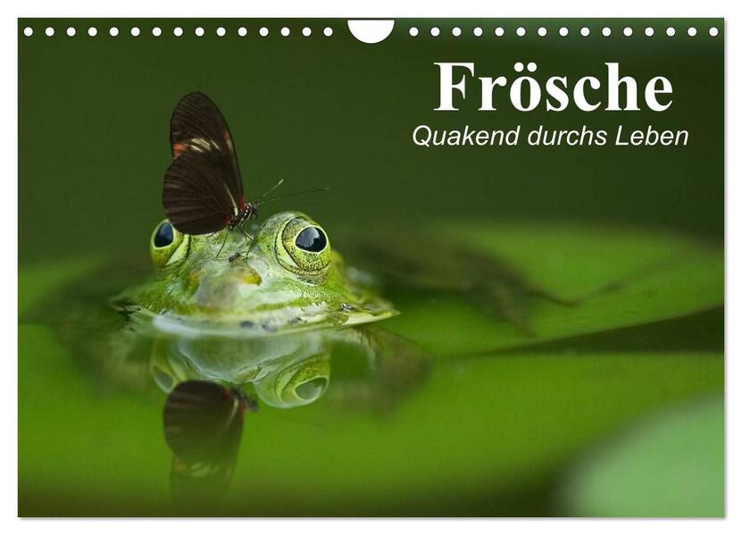 Frösche. Quakend durchs Leben (Wandkalender 2026 DIN A4 quer) CALVENDO Monatskalender