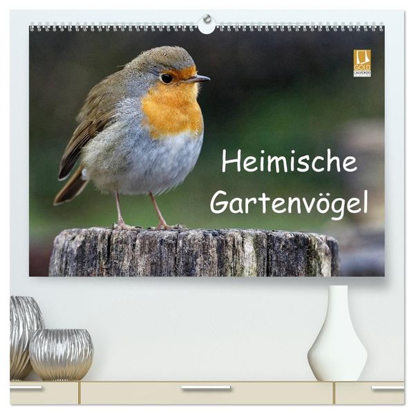 Heimische Gartenvögel (hochwertiger Premium Wandkalender 2026 DIN A2 quer) Kunstdruck in Hochglanz