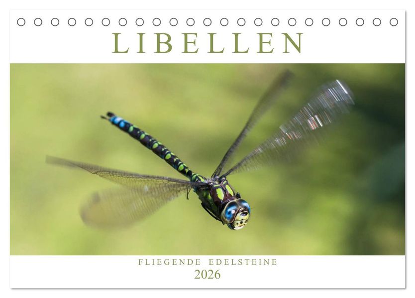 Libellen - Fliegende Edelsteine (Tischkalender 2026 DIN A5 quer) CALVENDO Monatskalender