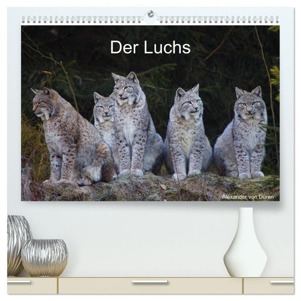 Der Luchs (hochwertiger Premium Wandkalender 2026 DIN A2 quer) Kunstdruck in Hochglanz