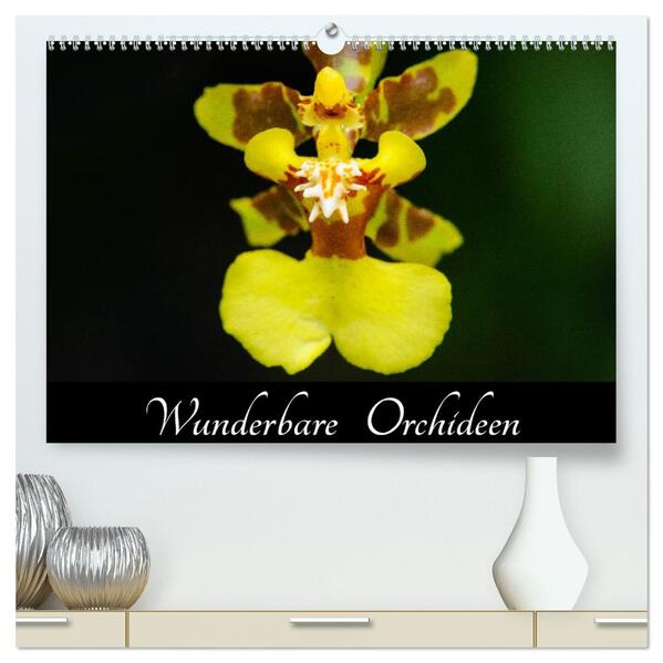 Wunderbare Orchideen (hochwertiger Premium Wandkalender 2026 DIN A2 quer) Kunstdruck in Hochglanz