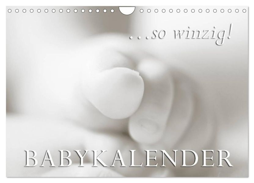 ...so winzig - Babykalender (Wandkalender 2026 DIN A4 quer) CALVENDO Monatskalender