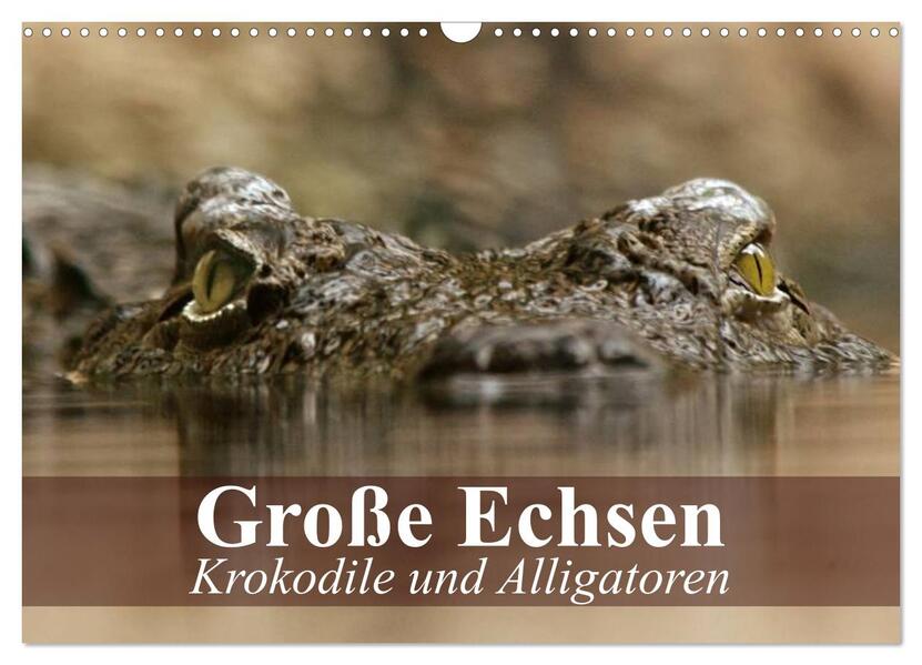 Große Echsen. Krokodile und Alligatoren (Wandkalender 2026 DIN A3 quer) CALVENDO Monatskalender