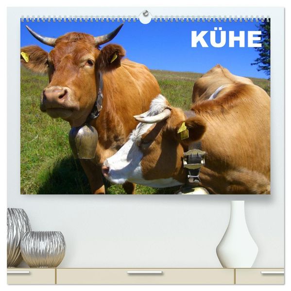 Kühe / Geburtstagskalender (hochwertiger Premium Wandkalender 2026 DIN A2 quer) Kunstdruck in Hochglanz