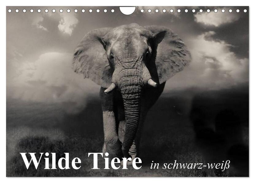 Wilde Tiere in schwarz-weiß (Wandkalender 2026 DIN A4 quer) CALVENDO Monatskalender