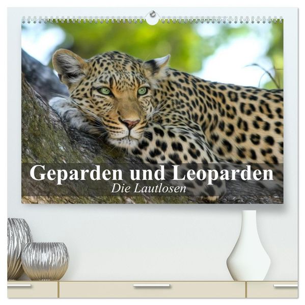 Die Lautlosen. Geparden und Leoparden (hochwertiger Premium Wandkalender 2026 DIN A2 quer) Kunstdruck in Hochglanz