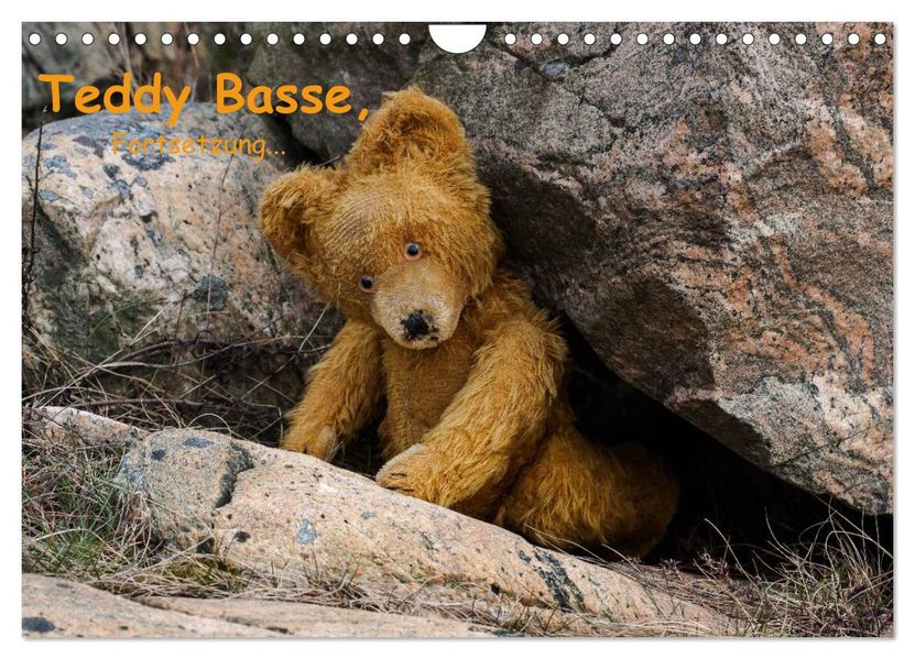 Teddy Basse Fortsetzung... (Wandkalender 2026 DIN A4 quer) CALVENDO Monatskalender