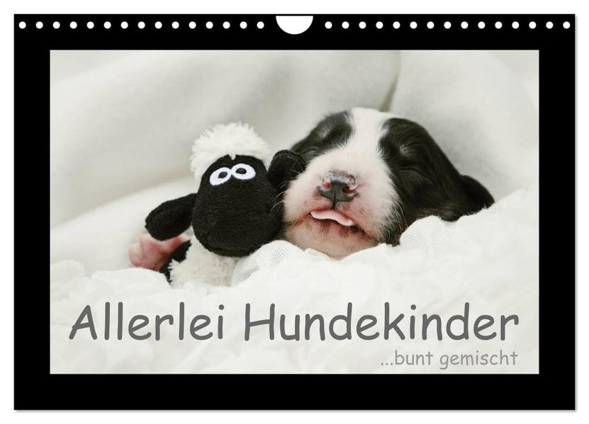 Allerlei Hundekinder (Wandkalender 2026 DIN A4 quer) CALVENDO Monatskalender