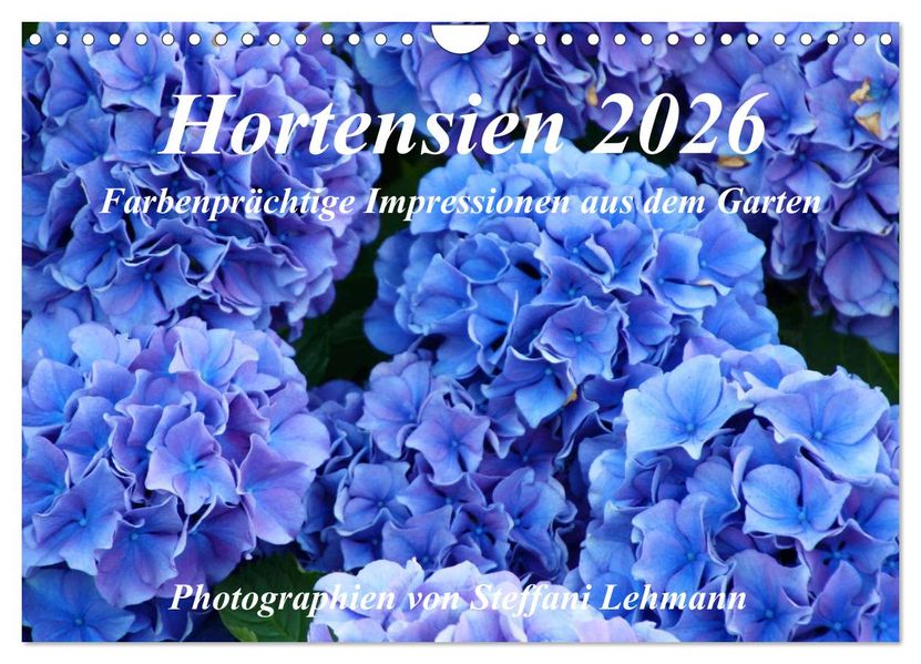 Hortensien 2026. Farbenprächtige Impressionen aus dem Garten (Wandkalender 2026 DIN A4 quer) CALVENDO Monatskalender