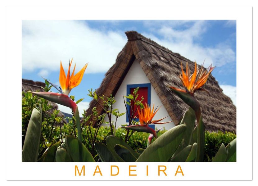 Madeira (Wandkalender 2026 DIN A3 quer) CALVENDO Monatskalender