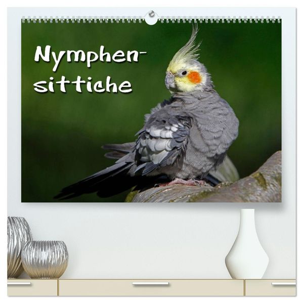 Nymphensittiche (hochwertiger Premium Wandkalender 2026 DIN A2 quer) Kunstdruck in Hochglanz