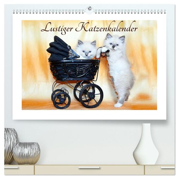Lustiger Katzenkalender (hochwertiger Premium Wandkalender 2026 DIN A2 quer) Kunstdruck in Hochglanz