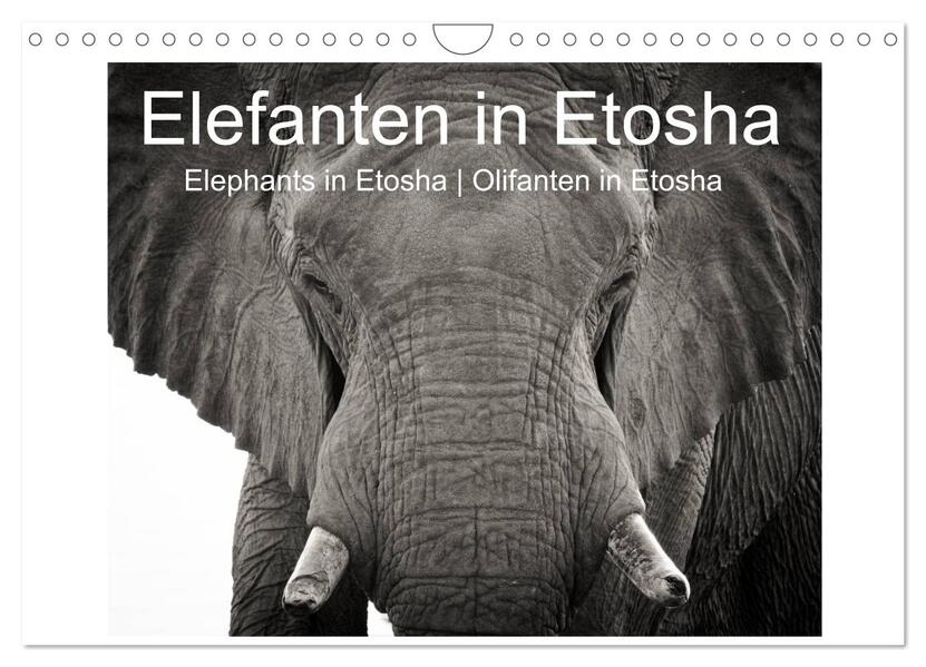 Elefanten in Etosha (Wandkalender 2026 DIN A4 quer) CALVENDO Monatskalender