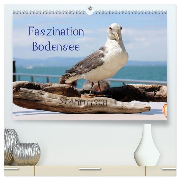 Faszination Bodensee (hochwertiger Premium Wandkalender 2026 DIN A2 quer) Kunstdruck in Hochglanz