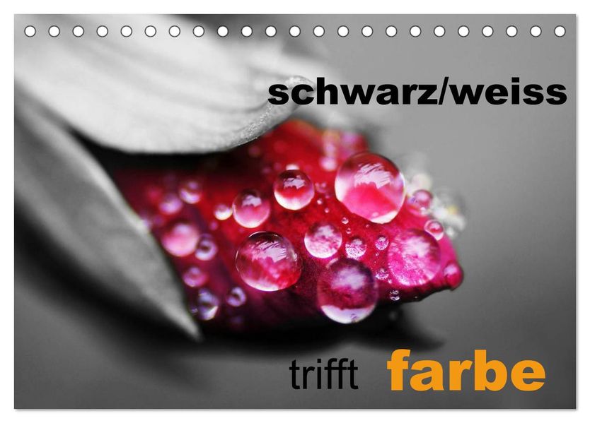 schwarz/weiß trifft farbe (Tischkalender 2026 DIN A5 quer) CALVENDO Monatskalender