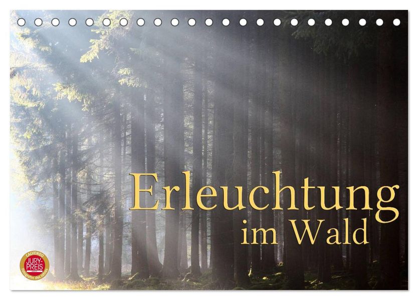 Erleuchtung im Wald (Tischkalender 2026 DIN A5 quer) CALVENDO Monatskalender
