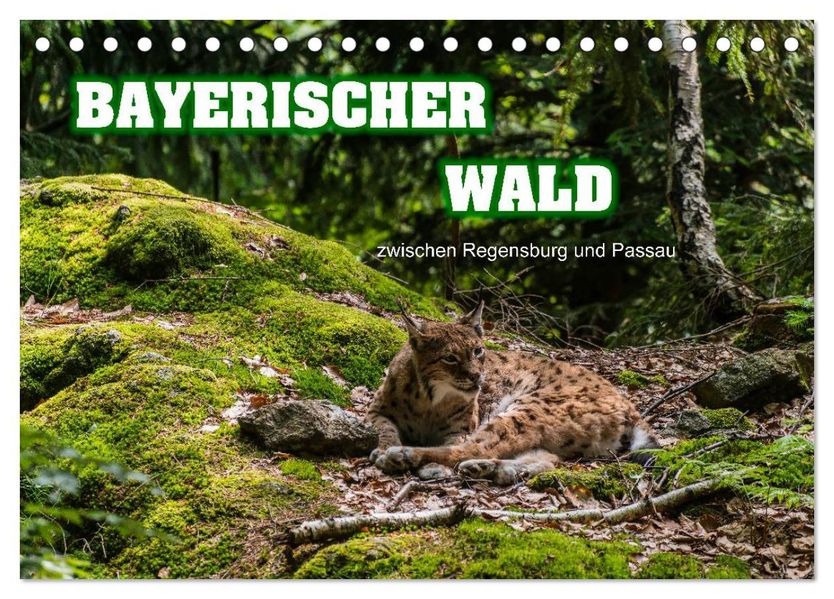 Bayerischer Wald (Tischkalender 2026 DIN A5 quer) CALVENDO Monatskalender