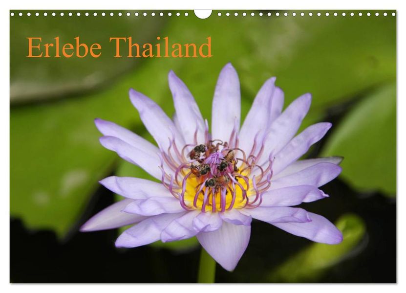 Erlebe Thailand (Wandkalender 2026 DIN A3 quer) CALVENDO Monatskalender