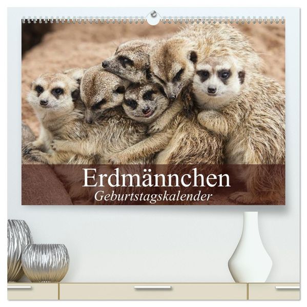 Erdmännchen (hochwertiger Premium Wandkalender 2026 DIN A2 quer) Kunstdruck in Hochglanz