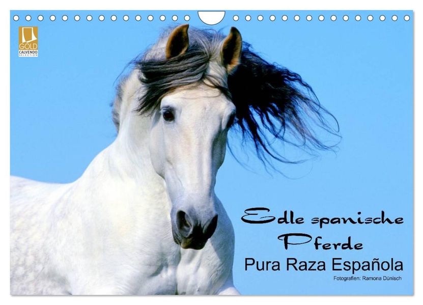 Edle spanische Pferde - Pura Raza Espanola (Wandkalender 2026 DIN A4 quer) CALVENDO Monatskalender