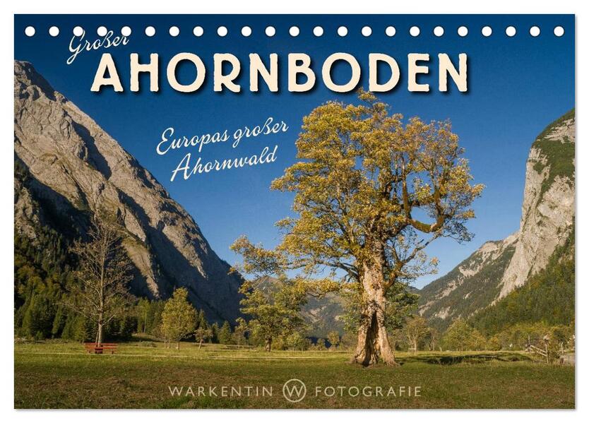 Großer Ahornboden - Europas großer Ahornwald (Tischkalender 2026 DIN A5 quer) CALVENDO Monatskalender