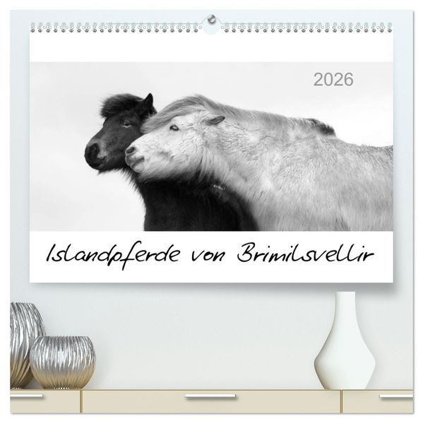 Islandpferde von Brimilsvellir (hochwertiger Premium Wandkalender 2026 DIN A2 quer) Kunstdruck in Hochglanz